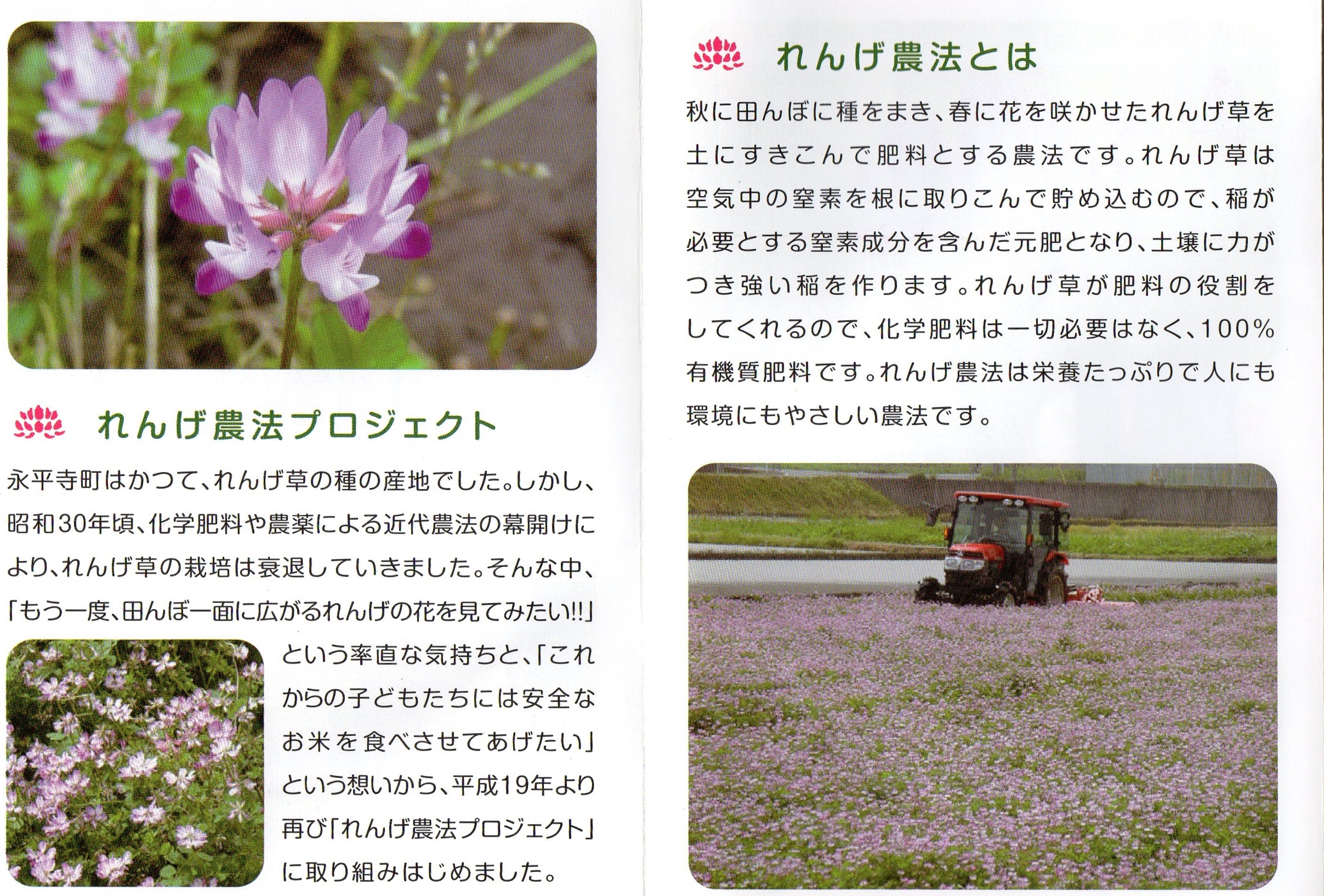 福井県永平寺町産農薬・化学肥料不使用れんげ米 | お米工房こめっと