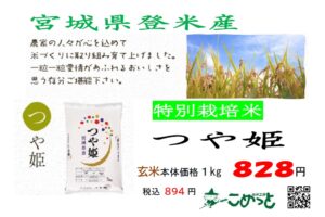 宮城県登米産特別栽培米「つや姫」入荷しました！ | お米工房