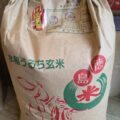 阿波美人コシヒカリ玄米②